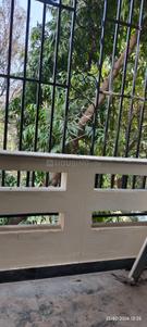 Balcony Image of 2200 Sq.ft 4 BHK Builder Floor for sale in Navjeevan Vihar New Delhi for Rs. 65000000