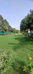 Image of 840 Sq.ft Residential Plot / Land for sale in Essarjee Royale, Patel Nagar, Bhopal for Rs. 4100000