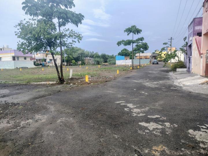 Salamangalam Main Image 1