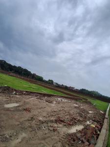 Basani Plot View 3