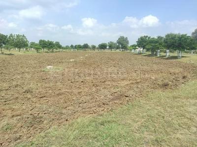 Image of 8100 Sq.ft Residential Plot / Land for sale in Bhadwasi, Sikar for Rs. 30000000