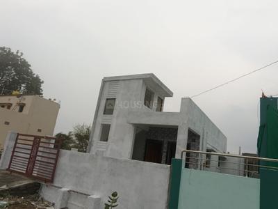 Image of 850 Sq.ft 2 BHK Independent House for sale in Wani, Yavatmal for Rs. 2800000