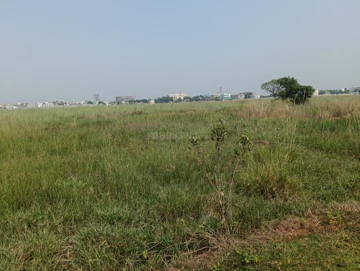 Ashok Nagar Main Image 1