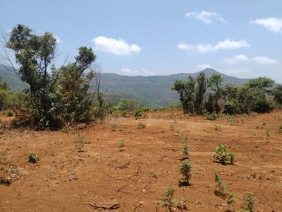 Image of 40000 Sq.ft Residential Plot / Land for sale in Bhor, Pune for Rs. 1500000