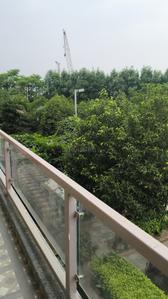 Image of 2906 Sq.ft 3 BHK Apartment / Flat for rent in BPTP Amstoria , Sector 102, Gurgaon for Rs. 50000