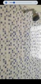 Bathroom Image of 552 Sq.ft 1 BHK Apartment / Flat for sale in Chintamani Bhagwant Rahi, Shivane Pune for Rs. 2500000