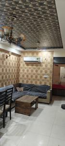 Hall Image of 800 Sq.ft 3 BHK Apartment / Flat for rent in Jagatpura Jaipur for Rs. 24000