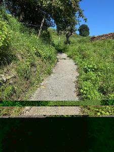 Image of 10000 Sq.ft Residential Plot / Land for sale in  Burans, Mukteshwar, Nainital for Rs. 2200000