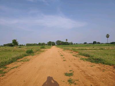 Image of 200 Sq.ft Residential Plot / Land for sale in Alair, Yadadri Bhuvanagiri for Rs. 1900002