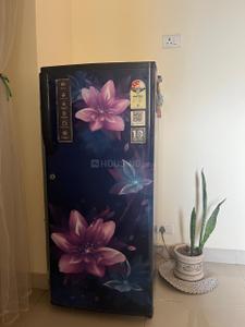 Hall Image of 1500 Sq.ft 3 BHK Apartment / Flat for rent in Sector 114 Mohali for Rs. 10000