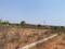 Dholera Main Image 1