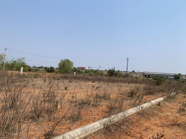 Dholera Main Image 1