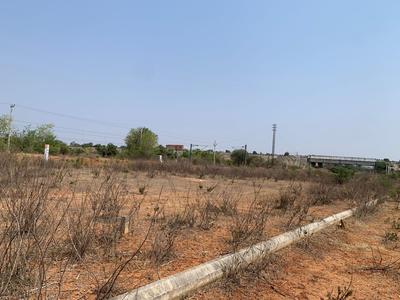 Dholera Plot View 1