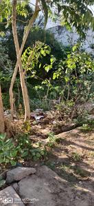Image of 2942 Sq.ft Residential Plot / Land for sale in Sharda Nagar, Lucknow for Rs. 26500000