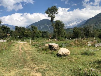 Image of 270 Sq.ft Residential Plot / Land for sale in Loharkadi Upper Sudher, Kangra for Rs. 500000