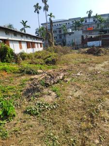 Nalanipam Plot View 3
