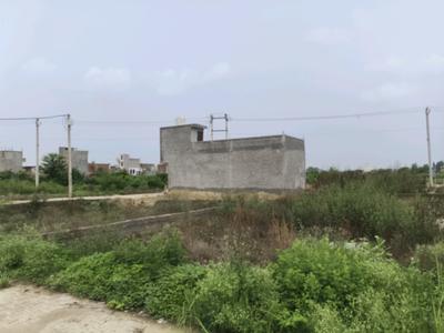 Chhapraula Plot View 3