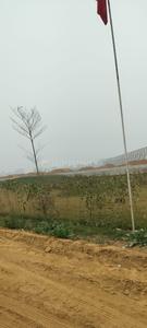 Image of 1098 Sq.ft Residential Plot / Land for sale in GSK Jay Shree Royal Greens, Pataudi, Gurgaon for Rs. 12200000