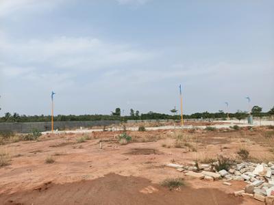 Residential Plot