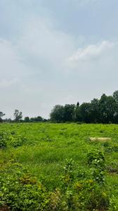 Image of 6000 Sq.ft Residential Plot / Land for sale in Paridhi Nidhivan Farm, Tatibandh, Raipur for Rs. 2850000