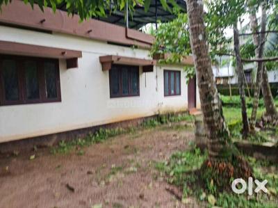 Image of 2600 Sq.ft Residential Plot / Land for sale in Thiruvannur, Kozhikode for Rs. 7200000