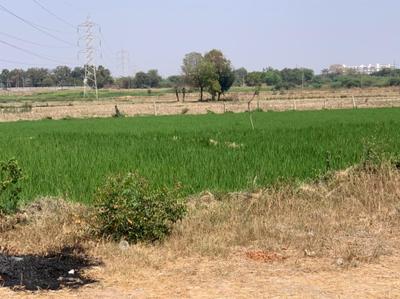 Kompally More Images 3