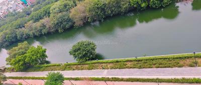 Balcony Image of 600 Sq.ft 1 BHK Apartment / Flat for rent in Vikram Golf View Condos, Sector 19 Dwarka New Delhi for Rs. 35000