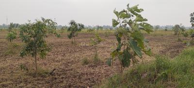 Image of 9600 Sq.ft Residential Plot / Land for sale in Walajabad, Chennai for Rs. 2400000