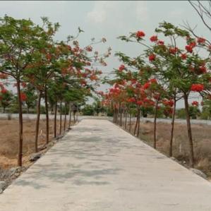 Image of 1000 Sq.ft Residential Plot / Land for sale in Abhinav City, Vidhan Sabha Road, Raipur for Rs. 1200000
