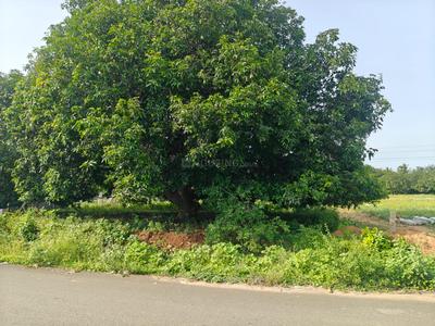 Image of 45302 Sq.ft Residential Plot / Land for sale in Kadavur, Madurai for Rs. 20000000