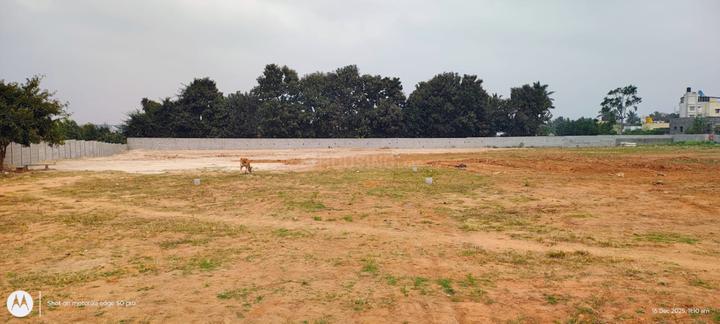 Koppa Gate Main Image 1