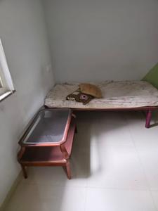 Bedroom Image of 1214 Sq.ft 2 BHK Apartment / Flat for rent in Adani Aster Neo, Shantigram Ahmedabad for Rs. 24000