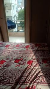 Bedroom Image of 800 Sq.ft 2 BHK Apartment / Flat for rent in Science City Ahmedabad for Rs. 22000