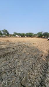Sakri More Images 2