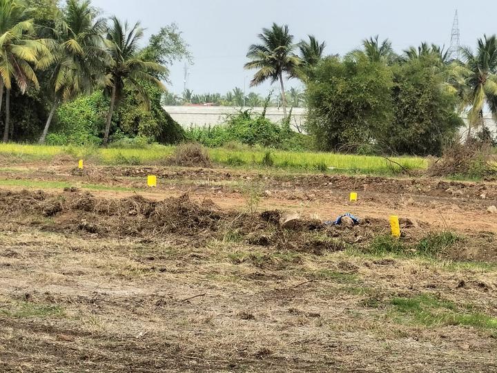Lalgudi Main Image 1