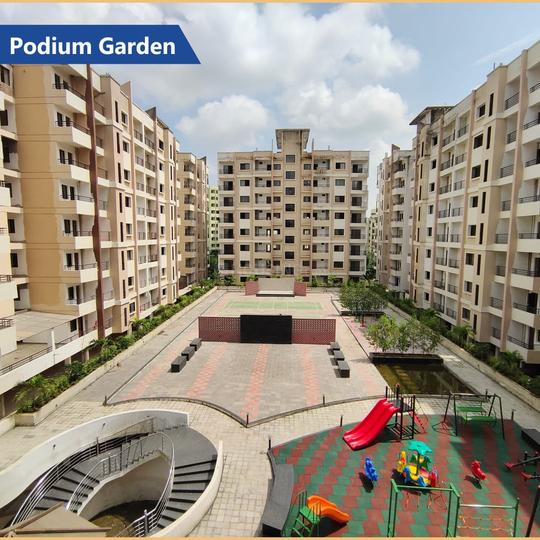 Dolphin Jewel O Main Image 1