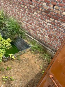 Maina Plot View 2