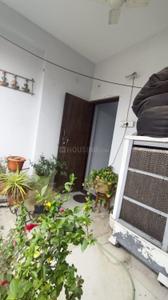 Hall Image of 1200 Sq.ft 2 BHK Apartment / Flat for rent in Chinchbhavan Nagpur for Rs. 25000