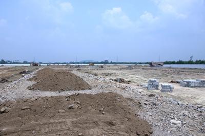 Plot View