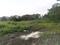 Avani Plots Plot View 2