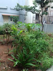 Image of 1500 Sq.ft 1 BHK Independent House for rent in Doddabidrakallu, Bengaluru for Rs. 18000