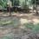 Manora Raia South Goa Plot View 2