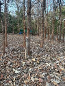 Image of 9600 Sq.ft Residential Plot / Land for sale in Emerald Enclave, Hebbal, Mysore for Rs. 46000000