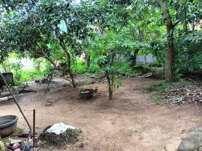 Image of 1200 Sq.ft 2 BHK Independent House for sale in Attingal, Thiruvananthapuram for Rs. 4200000