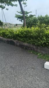 Image of 1775 Sq.ft Residential Plot / Land for sale in Kedgaon, Ahmednagar for Rs. 3200000