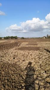 Image of 2000 Sq.ft Residential Plot / Land for sale in jui, Navi Mumbai for Rs. 1200000