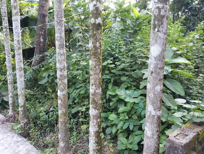 Image of 1082 Sq.ft Residential Plot / Land for sale in Uluberia, Howrah for Rs. 700000