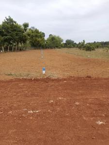 Image of 1250 Sq.ft Residential Plot / Land for sale in Kallandhiri, Madurai for Rs. 717401
