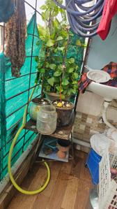 Balcony Image of 515 Sq.ft 2 BHK Apartment / Flat for sale in Suraram Hyderabad for Rs. 1100000