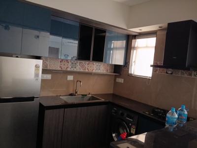 Kitchen Image of 855 Sq.ft 2 BHK Apartment / Flat for rent in Vyttila Kochi for Rs. 50000